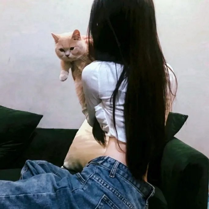 银狐传说